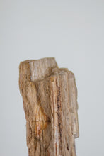 Load image into Gallery viewer, Petrified Apitong Woodstone
