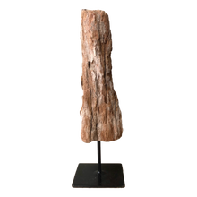 Load image into Gallery viewer, Petrified Apitong Woodstone
