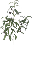 Load image into Gallery viewer, Faux Olive Tree Branch
