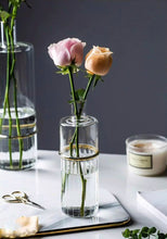 Load image into Gallery viewer, DANI Clear Glass Vase
