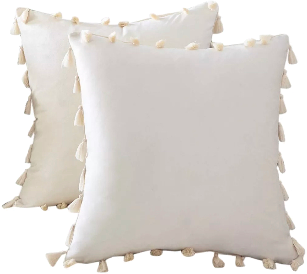 MARIE Tasseled Pillow Case